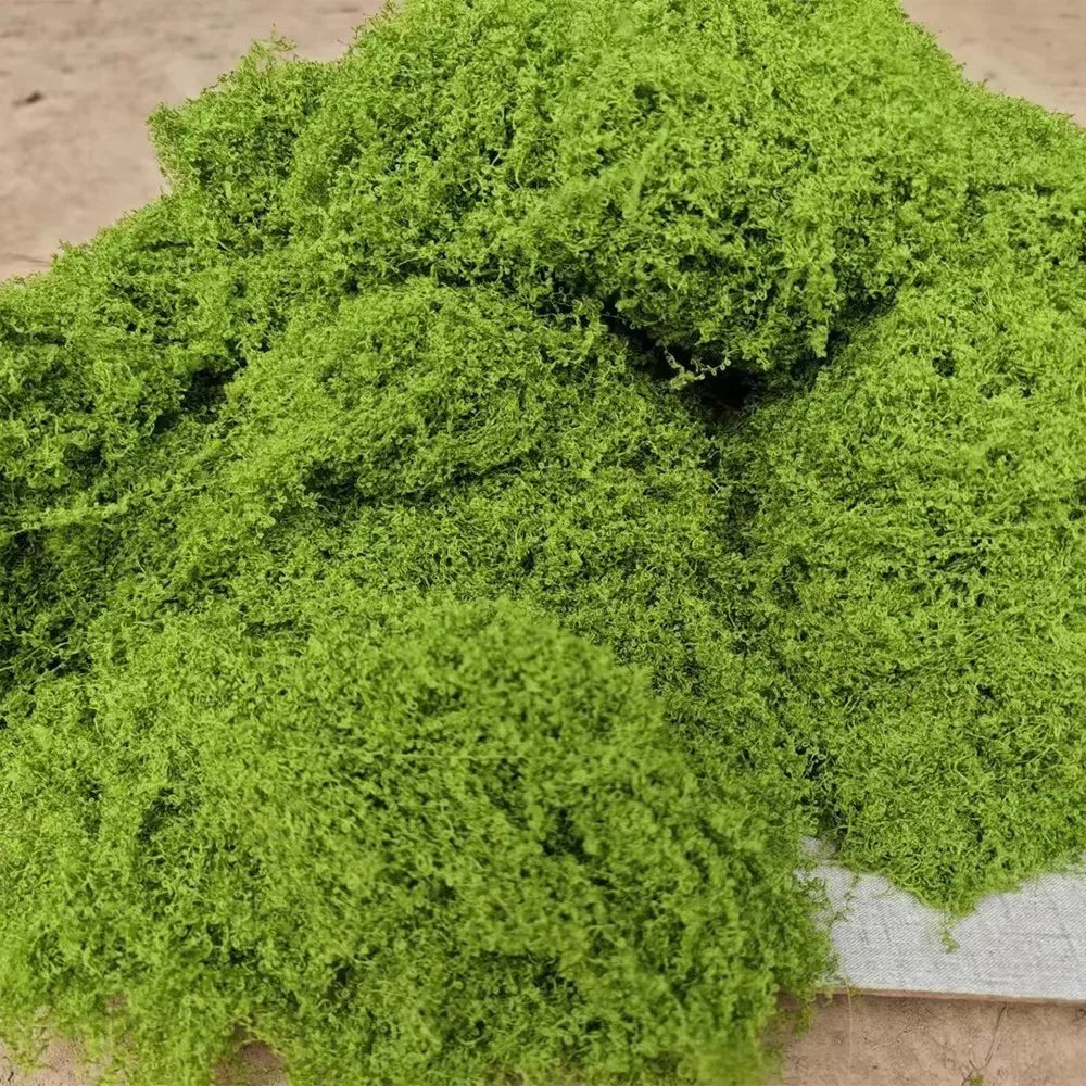 50g Fake Moss DIY Crafts Grass Artificial Moss Faux Preserved Moss