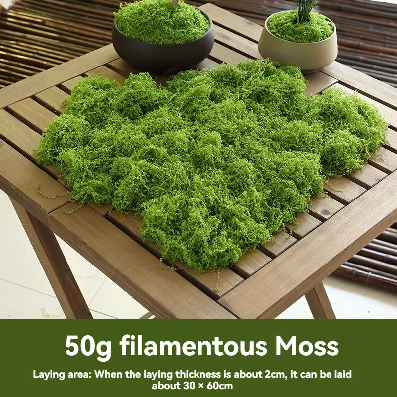 50g Fake Moss DIY Crafts Grass Artificial Moss Faux Preserved Moss