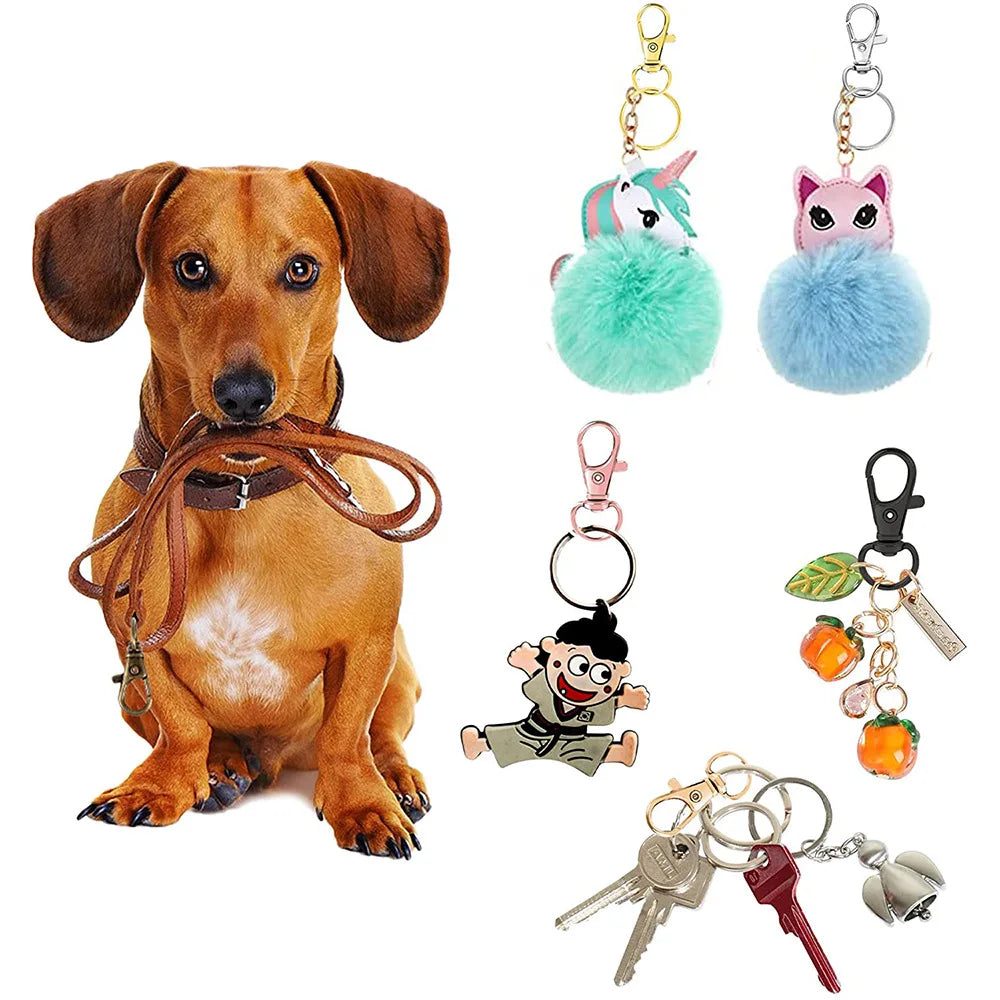 Swivel Clasps Lanyard Snap Hooks with Key Rings Key Chain Clip Hooks