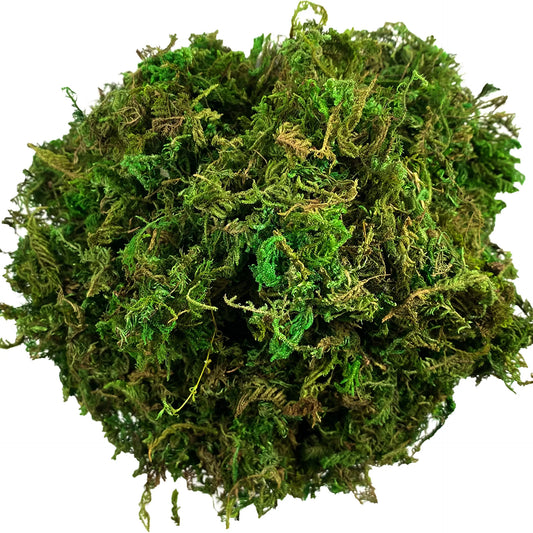 Artificial Moss Green for Potted Plant Orchid Potting Mix Peat Moss