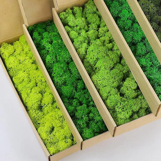 Artificial Green Plants Fake Grass Eternal Life Moss Grassfor Home