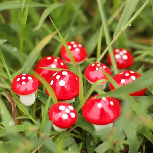 50Pcs Mini Red Coloful Mushroom Garden Dotted Small Potted DIY Toy