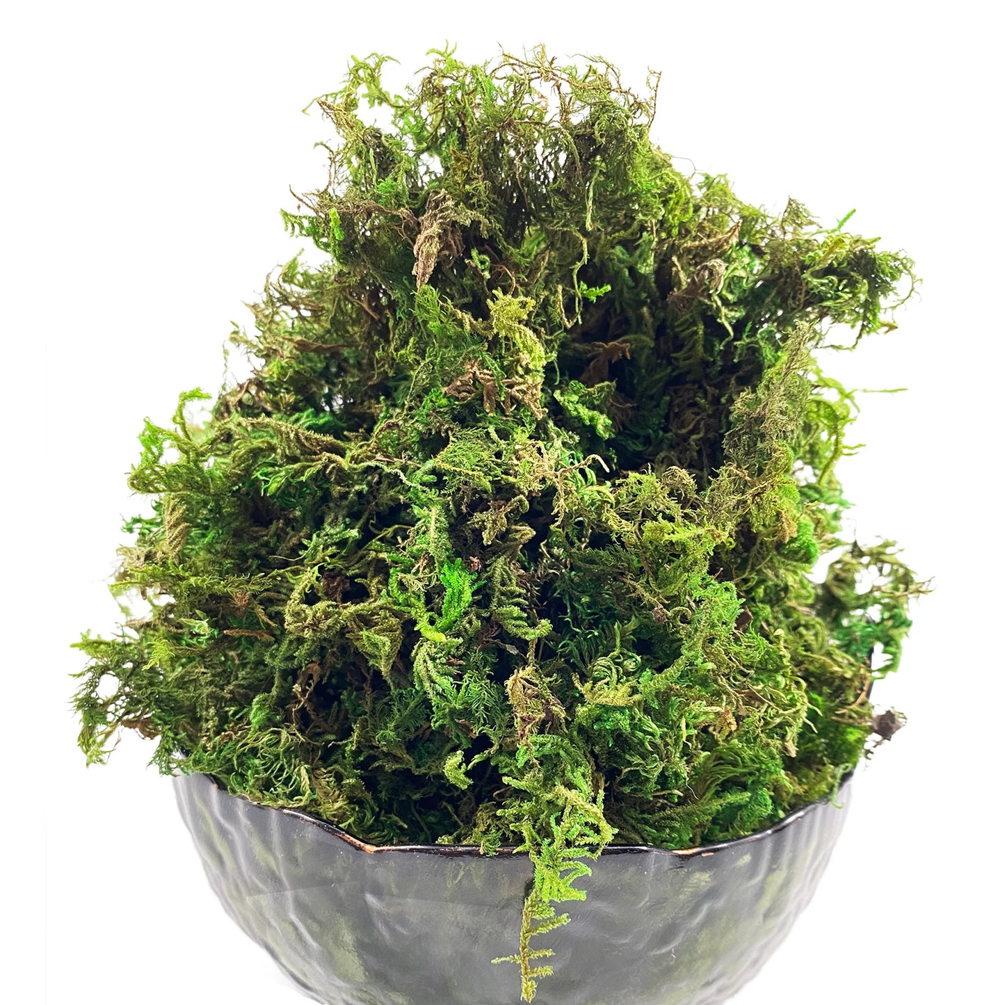 Artificial Moss Green for Potted Plant Orchid Potting Mix Peat Moss