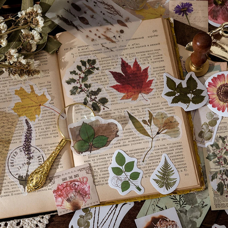Yoofun 60pcs/pack Multi-Material Sticker Pack Vintage Mushroom Plants
