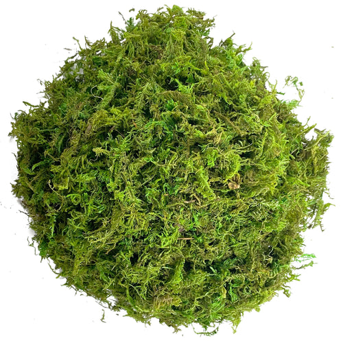Artificial Moss Green for Potted Plant Orchid Potting Mix Peat Moss