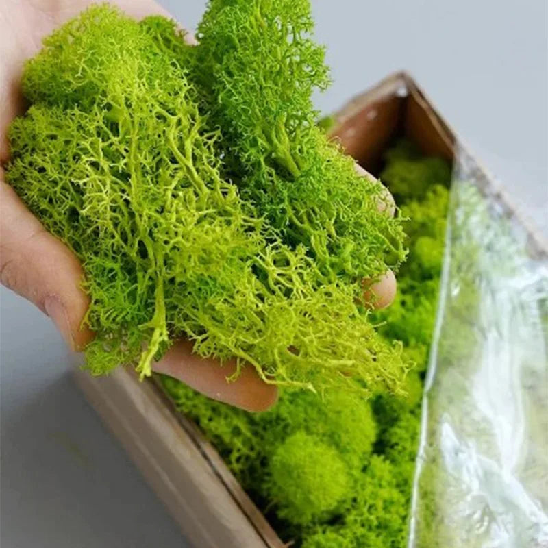 Artificial Green Plants Fake Grass Eternal Life Moss Grassfor Home