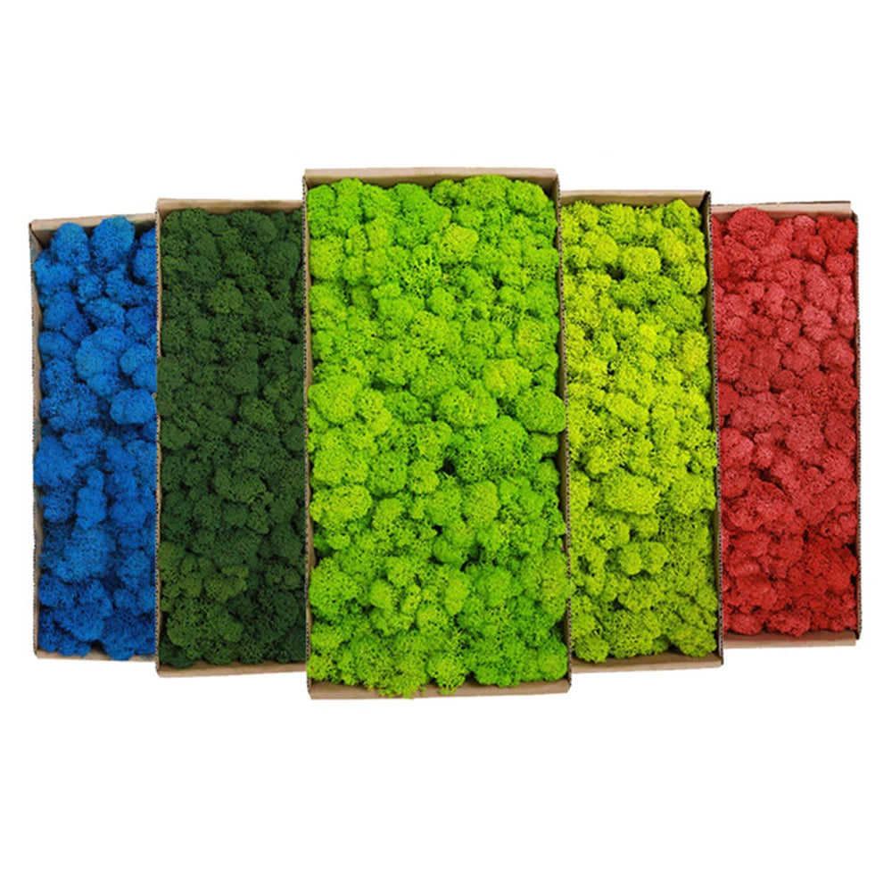 Artificial Green Plants Fake Grass Eternal Life Moss Grassfor Home