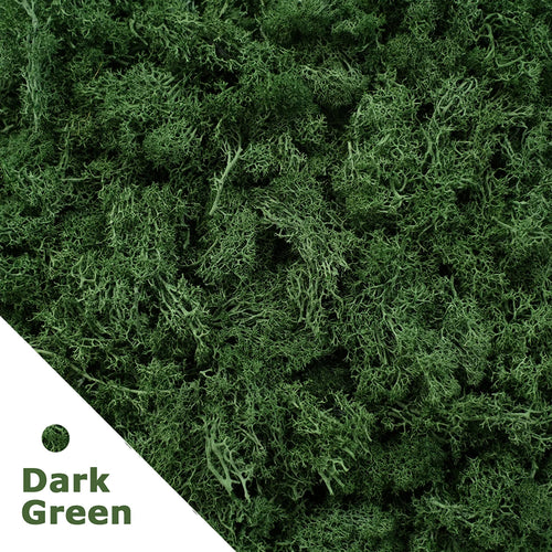 Artificial Green Plants Fake Grass Eternal Life Moss Grassfor Home