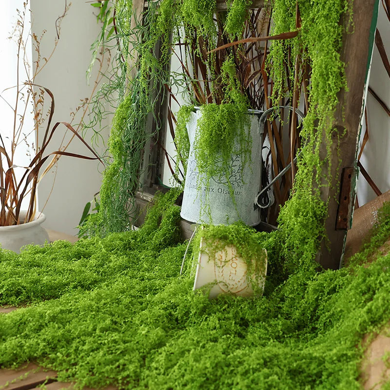 50g Fake Moss DIY Crafts Grass Artificial Moss Faux Preserved Moss