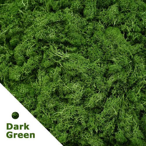Artificial Green Plants Fake Grass Eternal Life Moss Grassfor Home