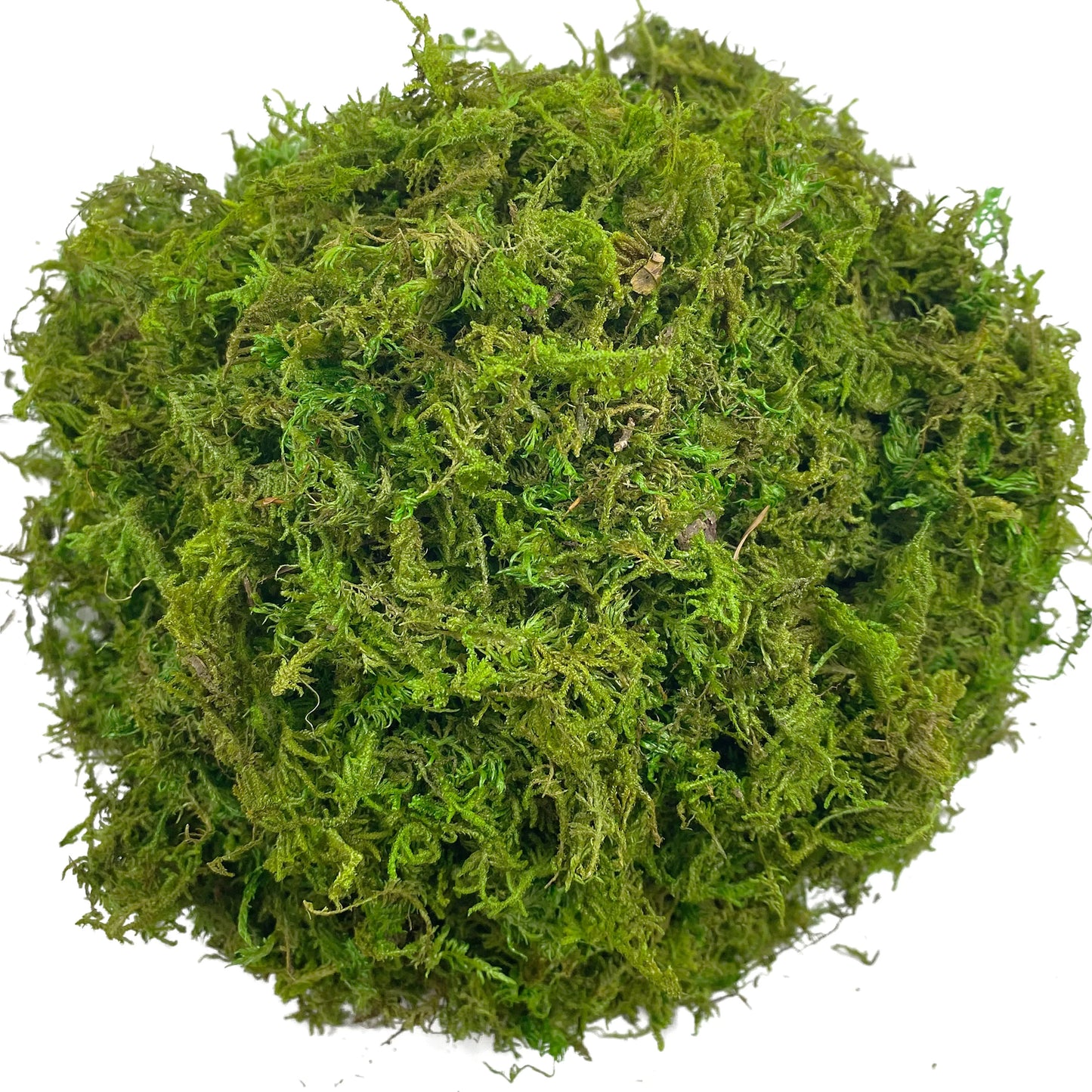 Artificial Moss Green for Potted Plant Orchid Potting Mix Peat Moss